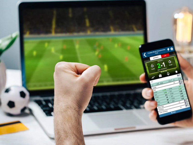 Learn about the new online bookmaker