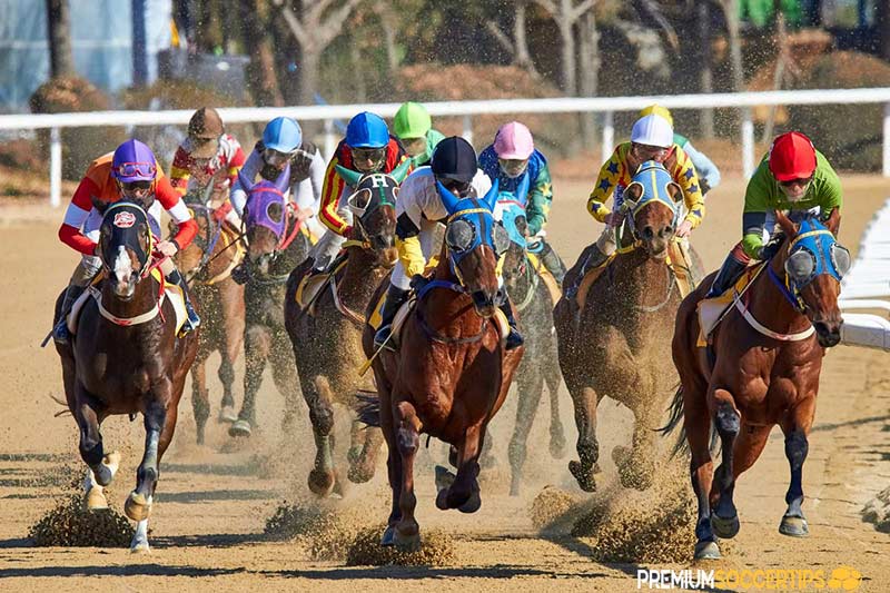 Applying horse racing bet strategy helps you win