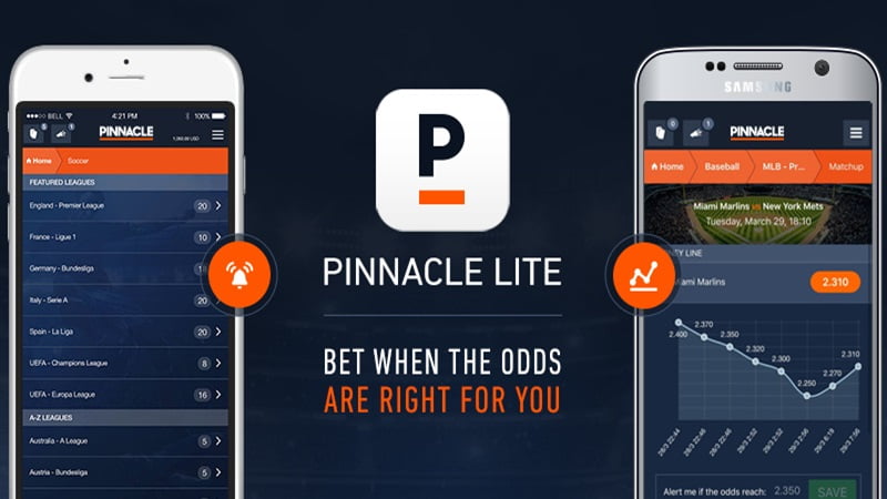 Pinnacle is a well-established and respected online betting platform.