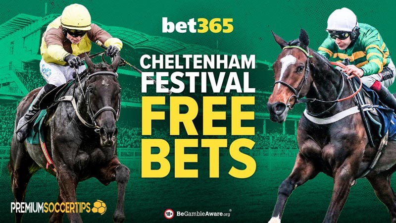 Online betting sites for horse racing: Bet365