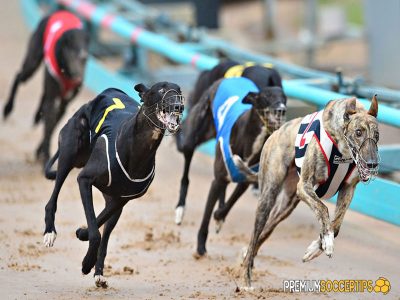 Is online Greyhounds betting legal?