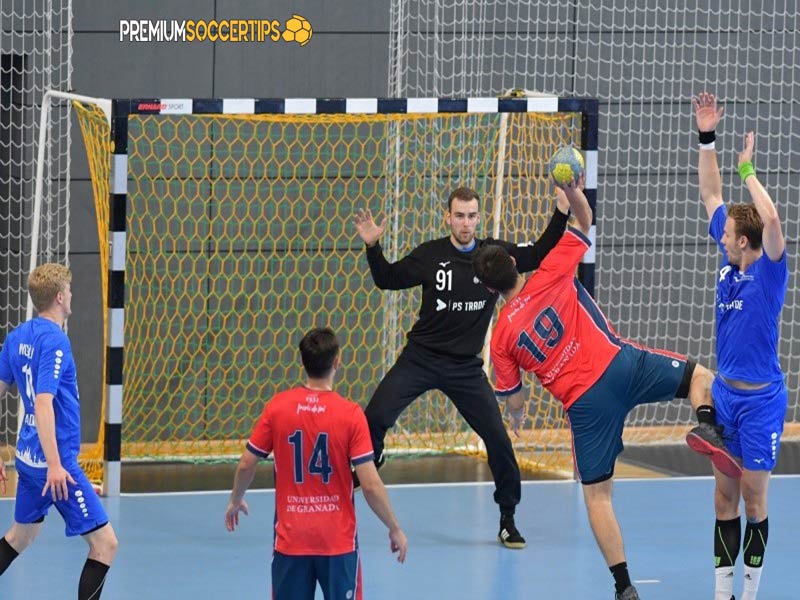 Learn about handball and handball betting sites