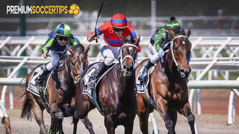 How to bet horse racing: Horse Racing Betting Strategy