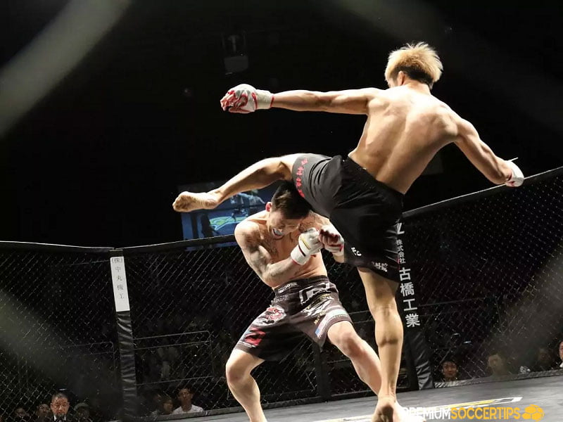 Learn about MMA betting sites