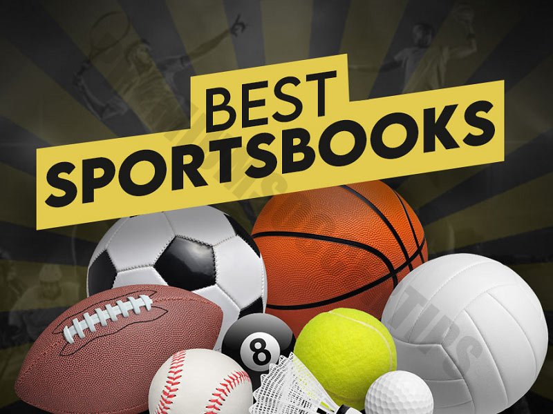 Learn about best sports betting sites panama