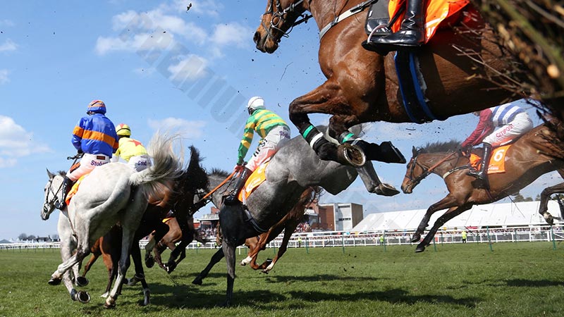 Betting rules Horse racing: Betting by Race Number