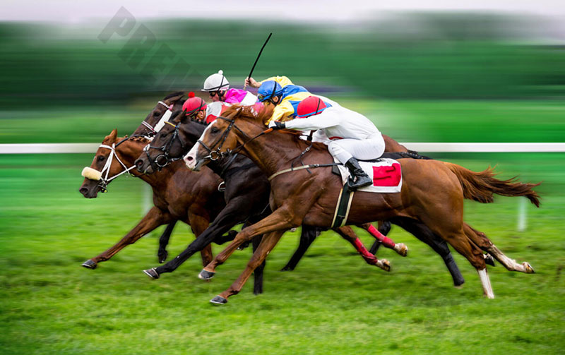 Find out how Horse Racing Spread Betting works?
