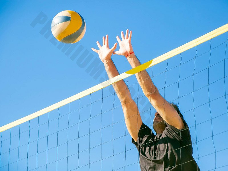 Learn about volleyball betting apps