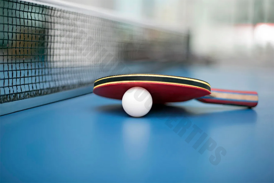 What is the most popular sports team in the world: Table Tennis – Over 850 Million Fans