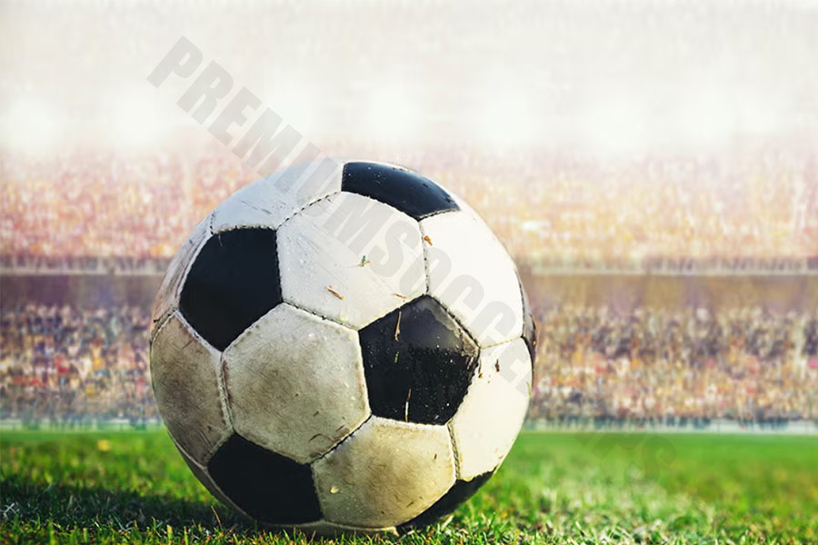 What is the most popular team sport in the world: Football (Soccer) – Over 3.5 Billion Fans