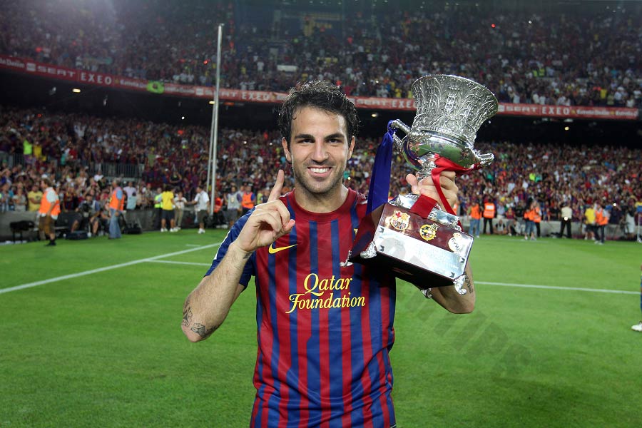 Cesc Fabregas - Players most international goals and assists