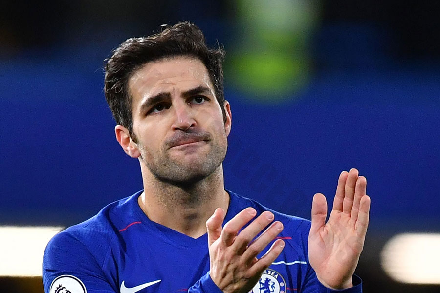 Cesc Fabregas - Top assist in the EPL